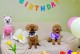 宠物狗的生日-宠物狗的生日祝福语